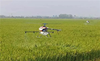 從跟跑到領跑 我國農藥行業四十年變遷與諾普信在生物農藥研發中的使命